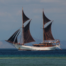 Picture of Silolona liveaboard in Indonesia