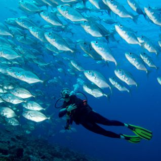 Diving off Babeldoab Island