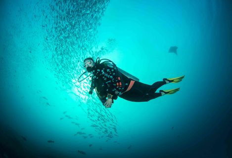 Diver in Micronesia