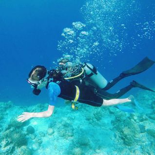 Scuba diving the house reef