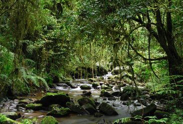Ranomafana, Madagascar