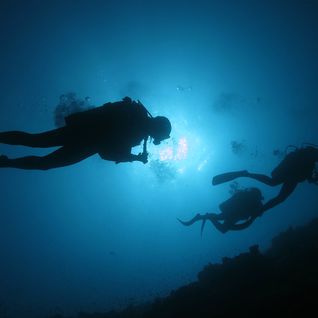 Diving in Alphonse, Seychelles