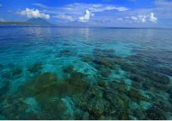Bunaken National Marine Park