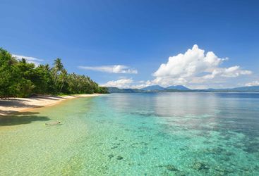 Scuba diving holiday to Northern Sulawesi