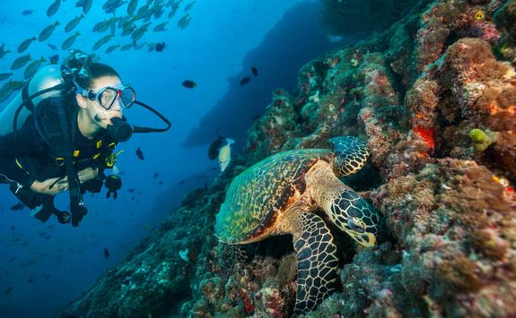 Scuba diving Maldives