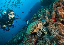 Scuba diving Maldives