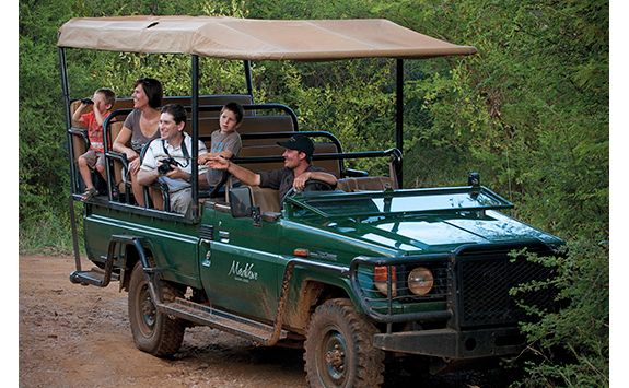 family game drive africa