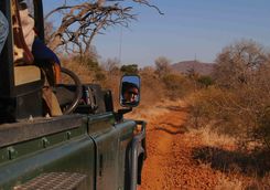 Madikwe Game Reserve