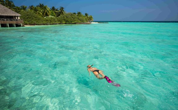 Snorkelling in the Maldives