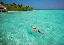 Snorkelling in the Maldives