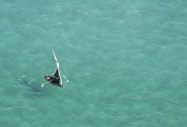 dhow sailing in Mozambique