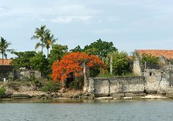 Mozambique local island