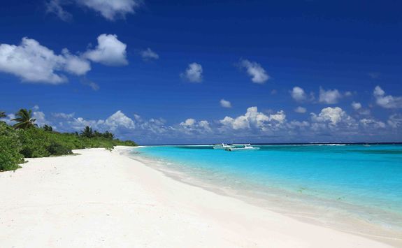 maldives beach