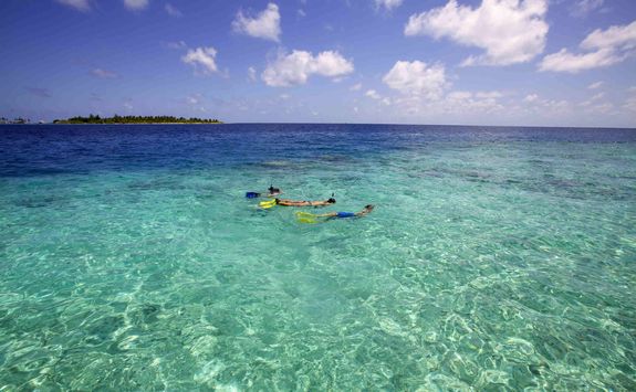 Snorkelling in the Maldives