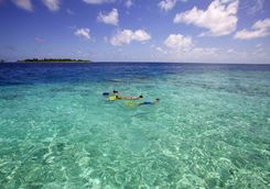 Snorkelling in the Maldives