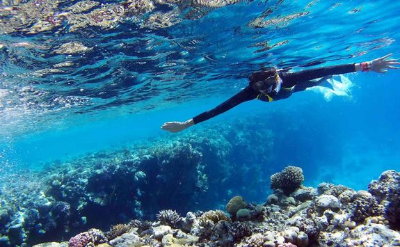 diver in deep blue sea