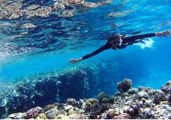diver in deep blue sea
