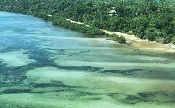 mafia island overcoral reef