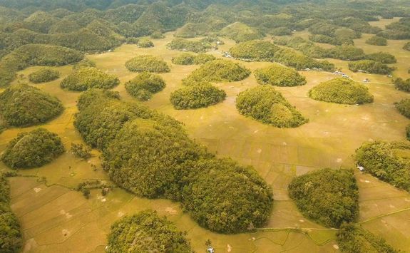 chocolate hills bohol