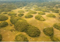 chocolate hills bohol