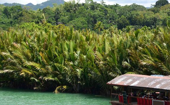 loboc river boat