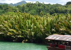 loboc river boat