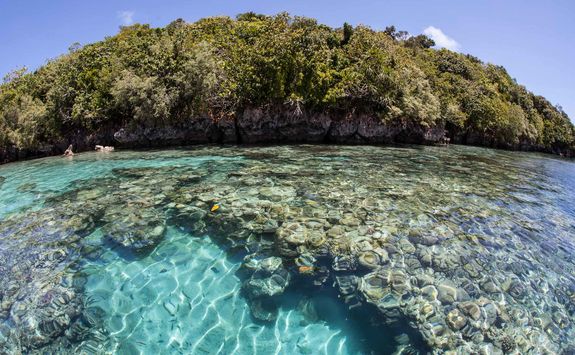 limestone island reef