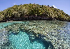 limestone island reef