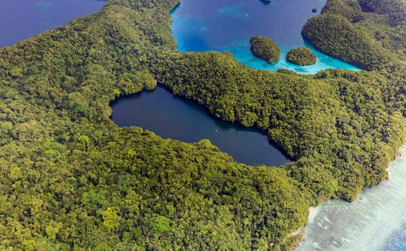 palau jellyfish lake