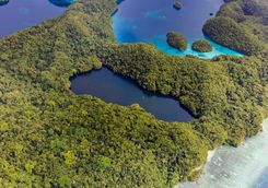 palau jellyfish lake