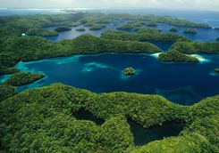 rock islands jellyfish lake