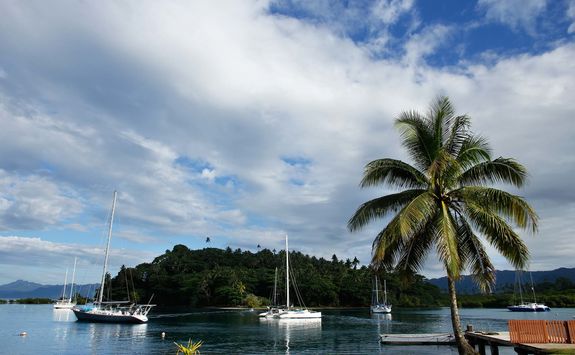 sailing boat  savusavu harbor