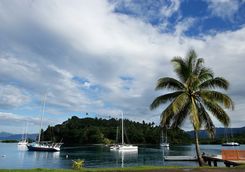 sailing boat  savusavu harbor
