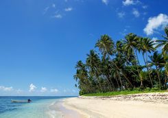 sand beach vanua levu island