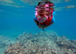 child snorkeling dive fiji