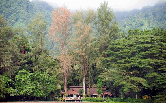 juergen freund walindi