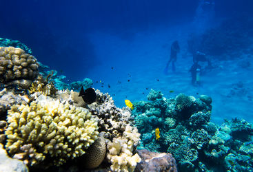 Family diving in Grenada