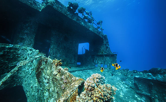 wreck grenada
