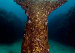 underwater sculture park in grenada