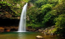 Lower Tavoro Waterfalls
