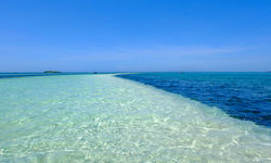 Clear water of Bohol, Philippines