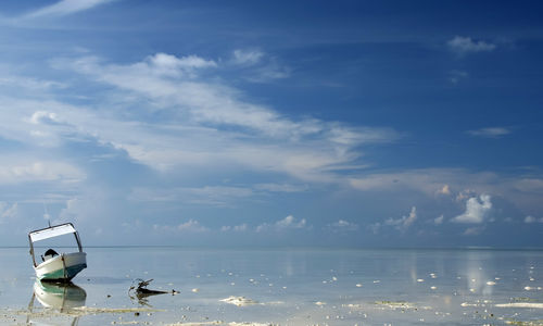 Blue Horizon of Tubbataha Reef