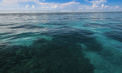 Reef Seascape, Philippines