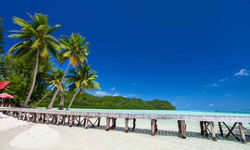 Tropical pacific island