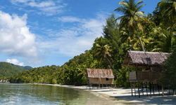 Nipa Bamboo Huts, Papua New Guinea