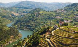 Aerial view of the Douro Valley