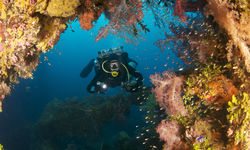 Diving, Chuuk Lagoon