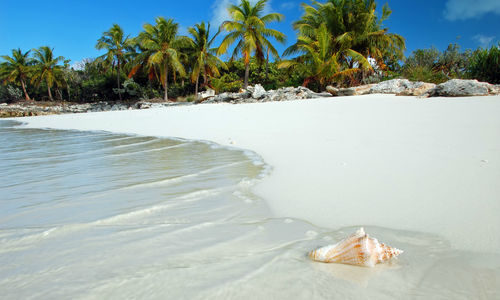 Beach Turks and Caicos islands