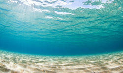 Under the sea diving Caicos