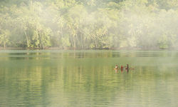 Canoe at Milne Bay, PNG